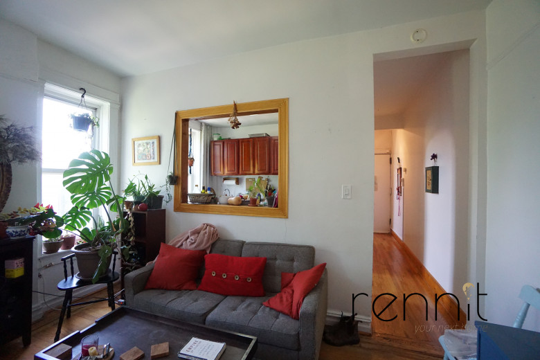 967 Bergen St, Apt 3C Image 12