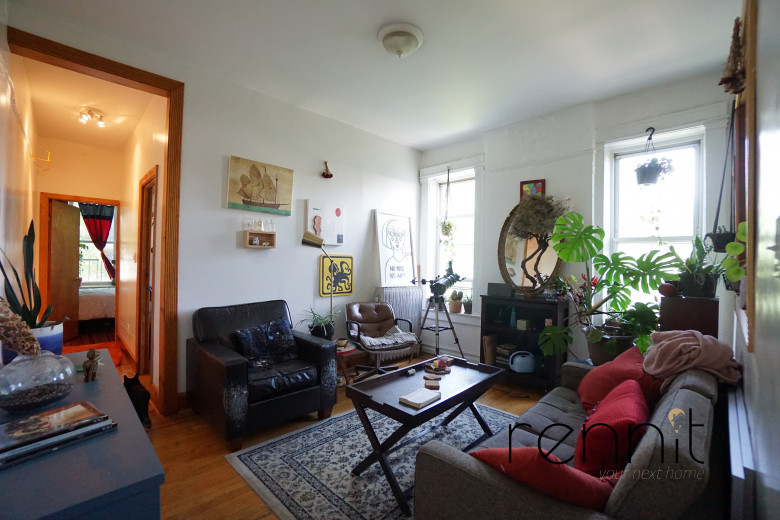 967 Bergen St, Apt 3C Image 8