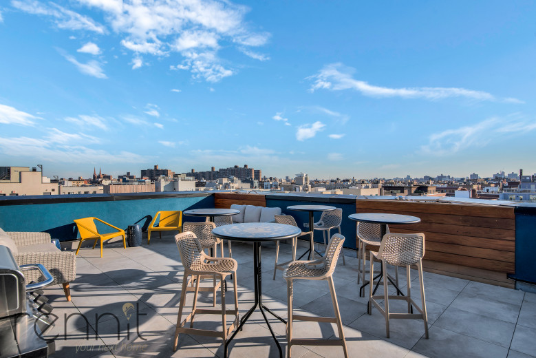 56 Ainslie St, Apt 3D Image 13