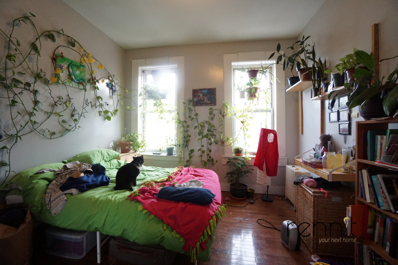 1614 Prospect Pl, Apt 2R Image 5