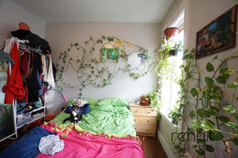 1614 Prospect Pl, Apt 2R Image 6