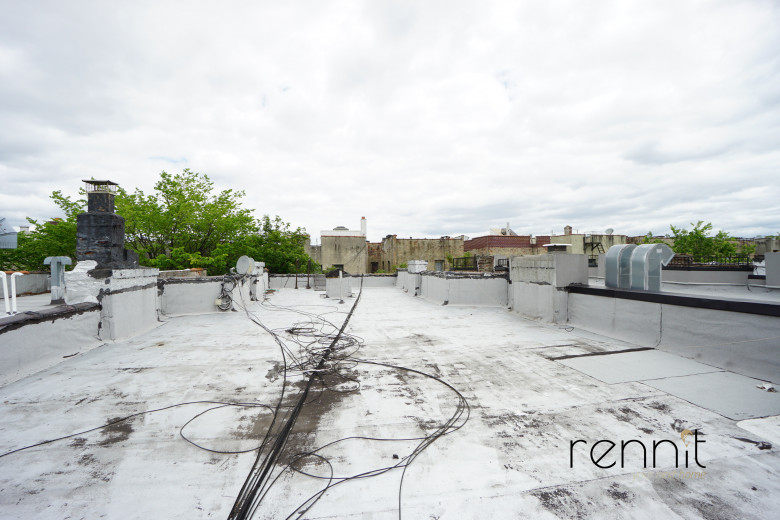 1257 Lincoln Pl, Apt 7 Image 14
