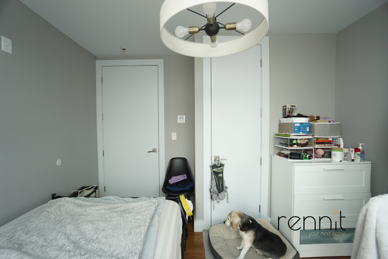 853 Lexington Ave, Apt 6A Image 12