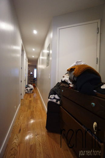 217 Ralph Ave, Apt 2L Image 4