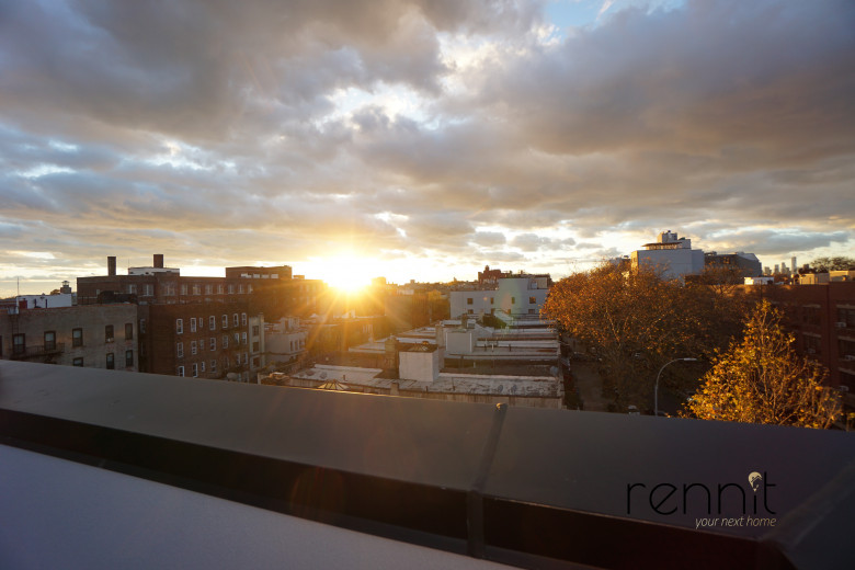 1620 Prospect Pl, Apt 5F Image 8