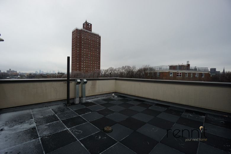 1772 Bergen St, Apt 3B Image 12