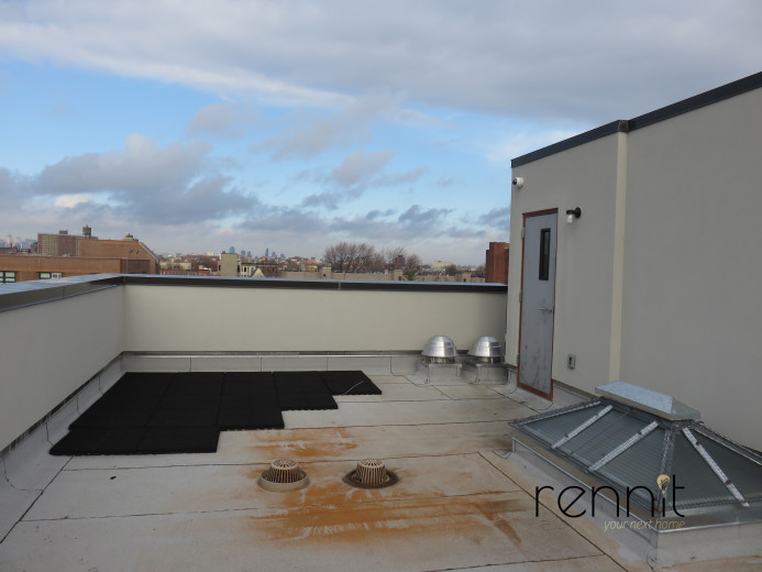 643 Madison St, Apt 1A Image 12