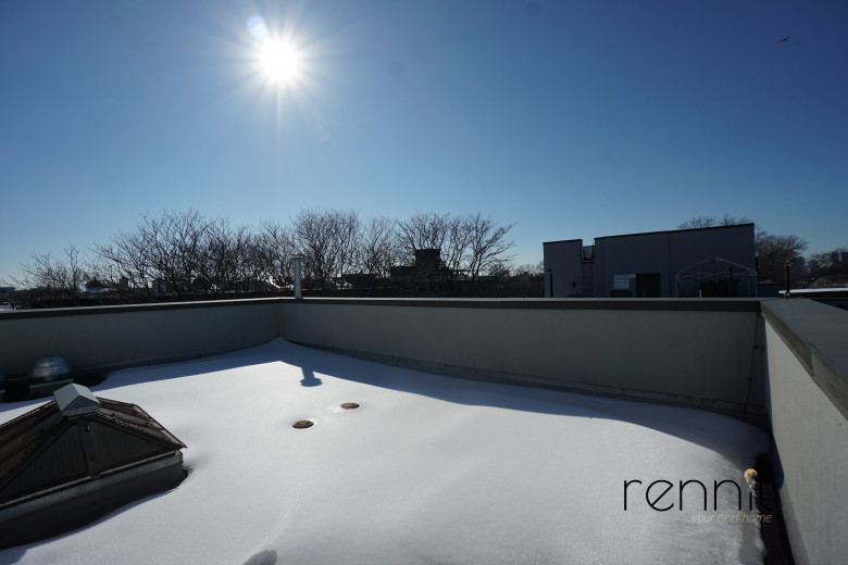 643 Madison St, Apt 1A Image 13