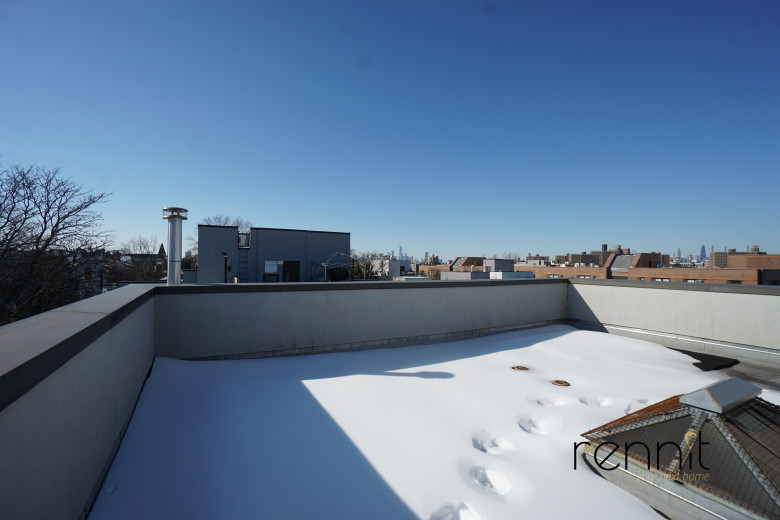 643 Madison St, Apt 1A Image 14