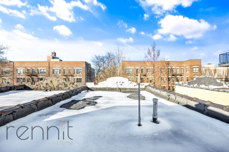 1614 Prospect Pl, Apt 1R Image 17