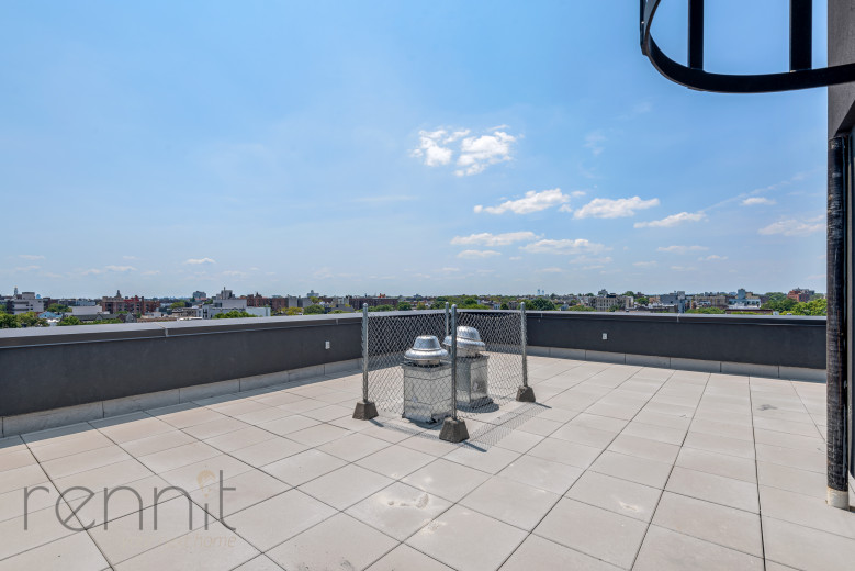 2809 Clarendon Rd, Apt 501 Image 16