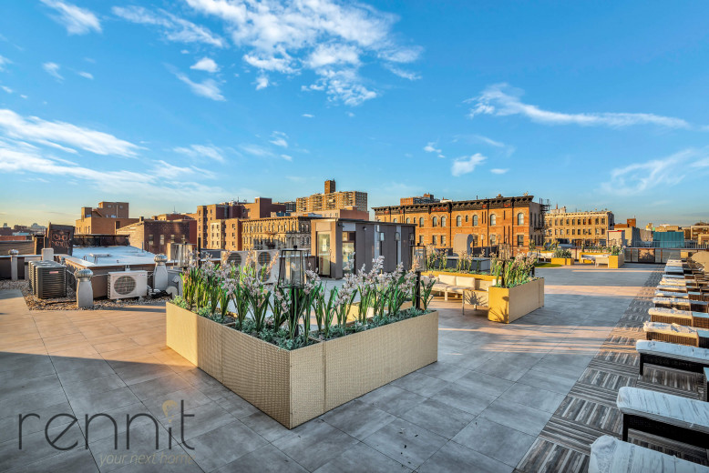 31 Debevoise St, Apt 4E Image 11