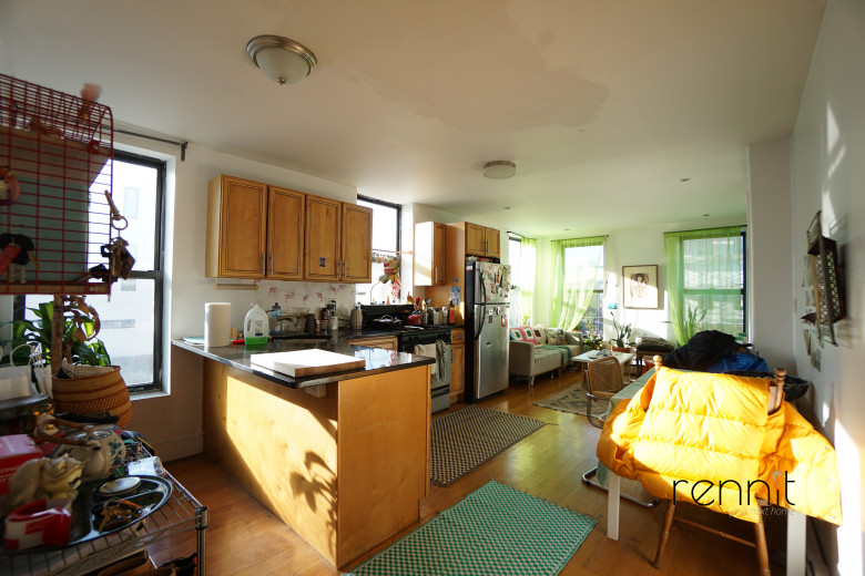 453 Franklin Ave, Apt 3 Image 3