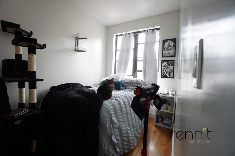 259 Boerum St, Apt 2L Image 18