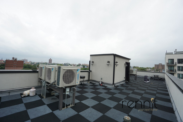 519 Herkimer St, Apt 3R Image 12